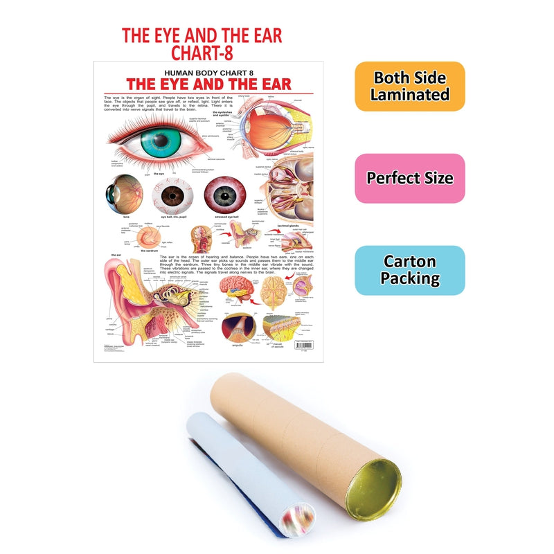 The Eye & the Ear - Chart