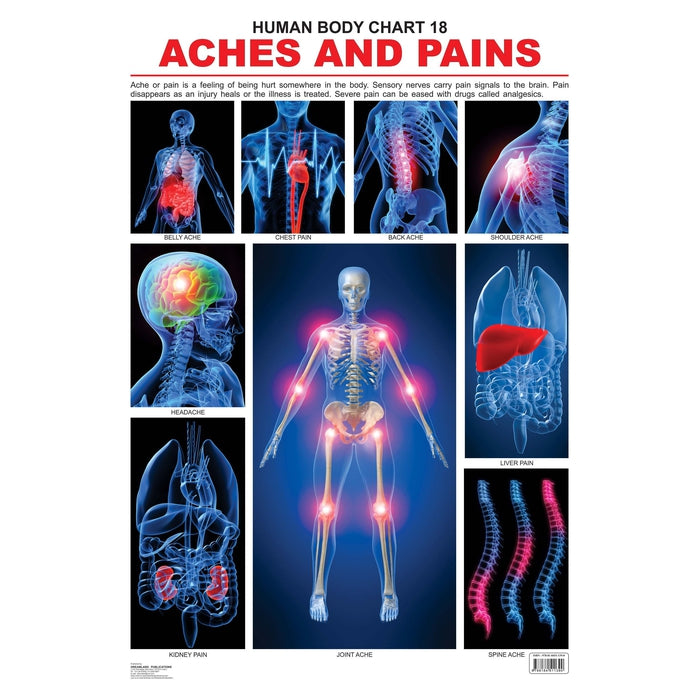 The Pains - Chart