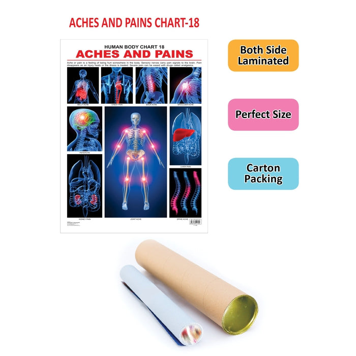 The Pains - Chart