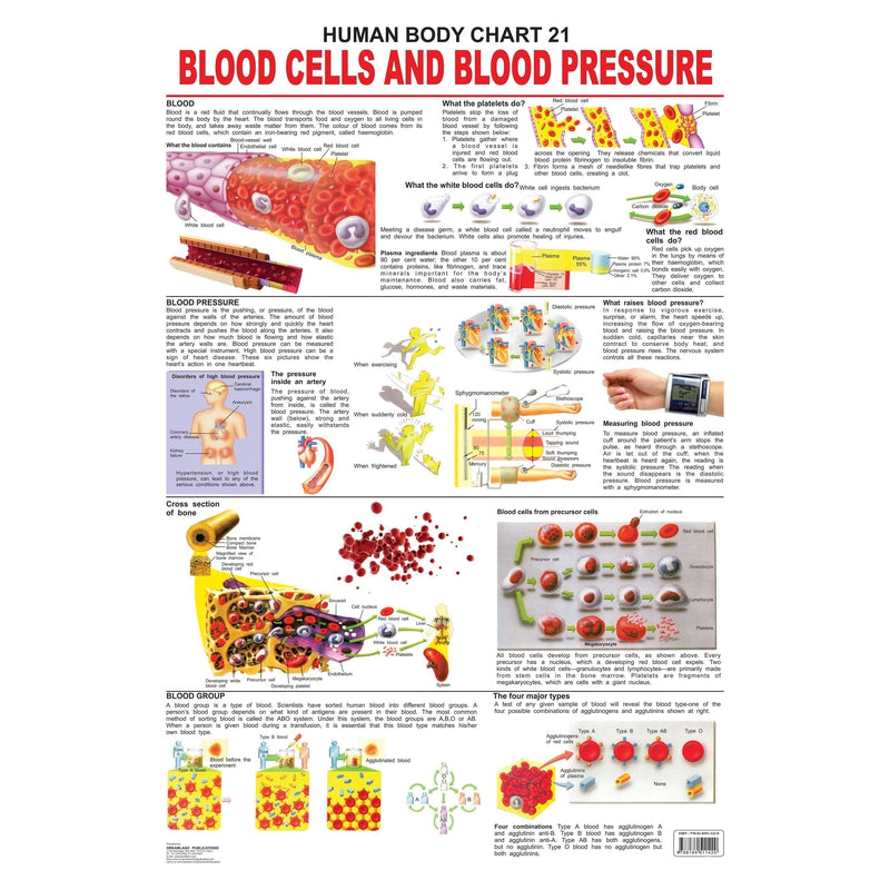 The Blood Group, Cells & Pressure - Chart