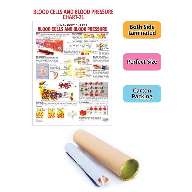 The Blood Group, Cells & Pressure - Chart