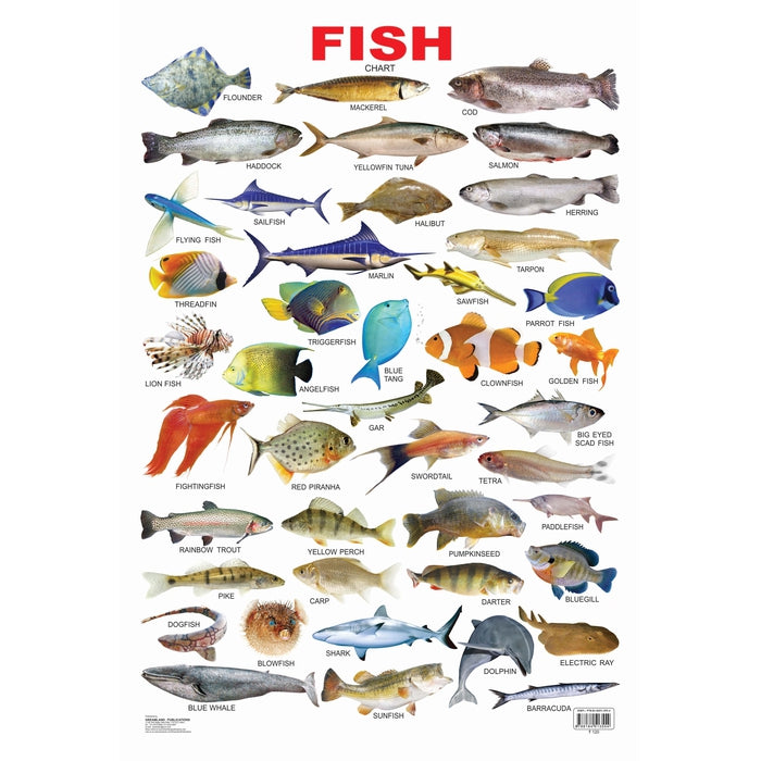 Fish - Chart