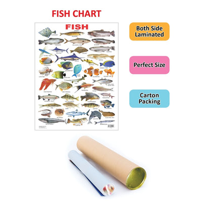Fish - Chart