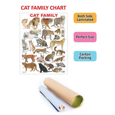 Cat Family Educational Wall Chart