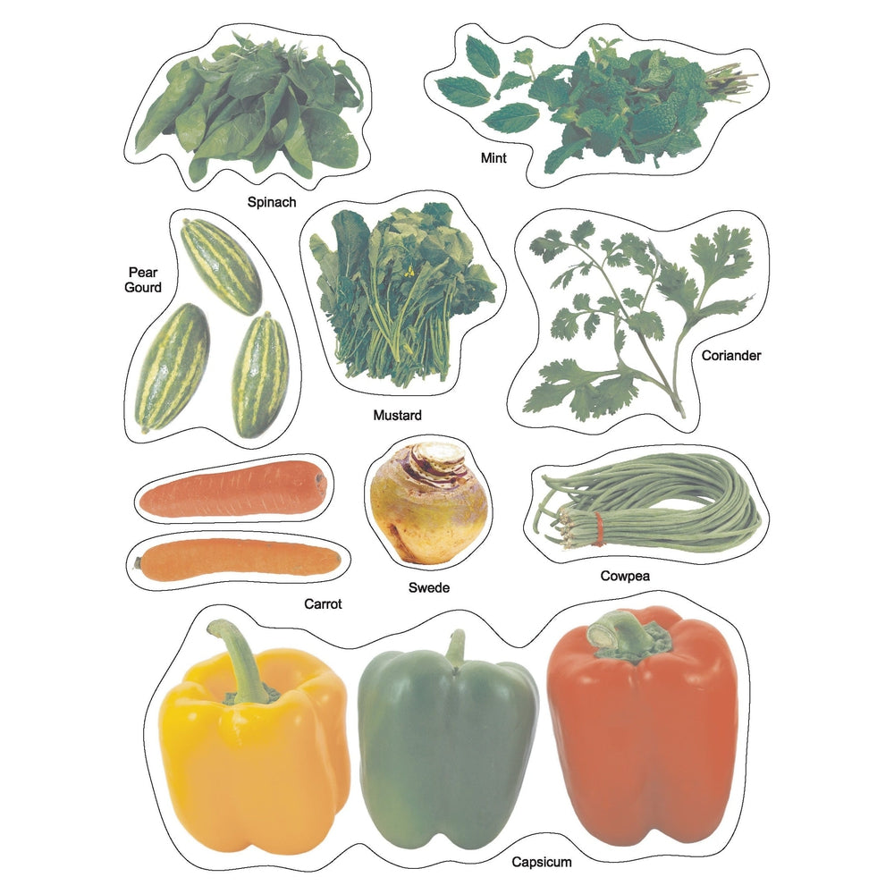 Play With Sticker - Vegetables