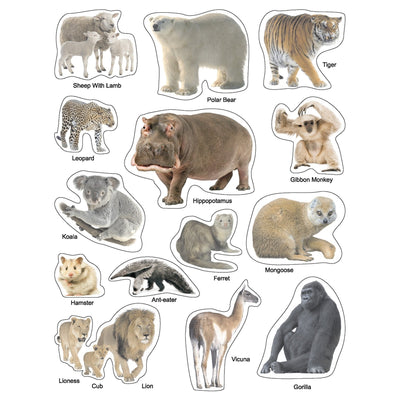 Play With Sticker - Animals