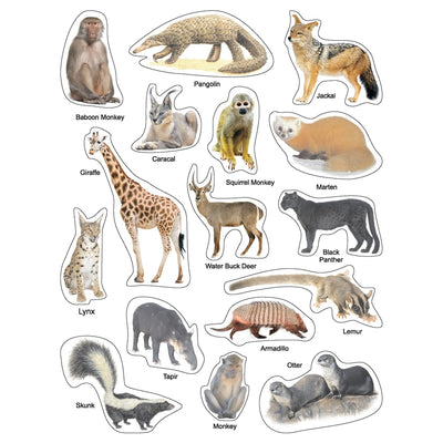 Play With Sticker - Animals