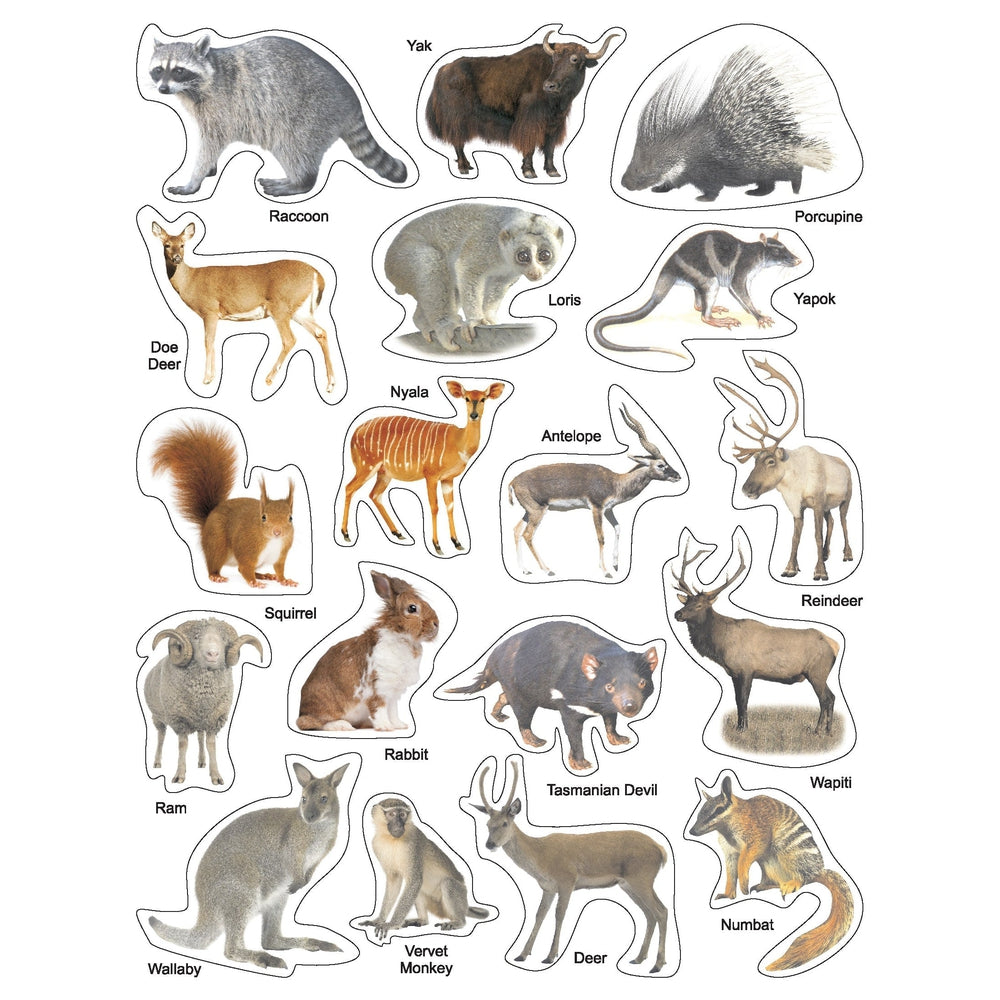 Play With Sticker - Animals