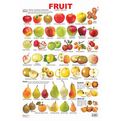 Fruit Chart - 1