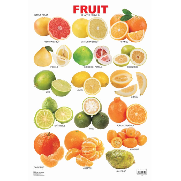 Fruit Chart - 3