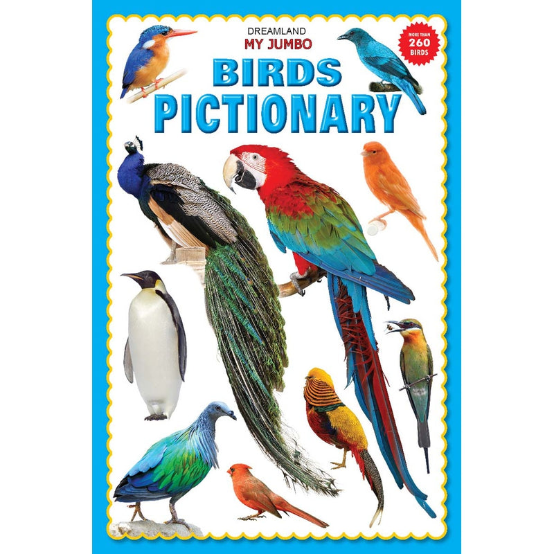 My Jumbo Birds Pictionary