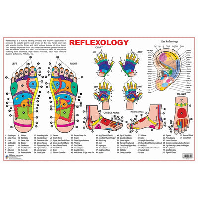 Reflexology Wall Chart