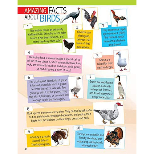 Animals and Birds Minipedia - Learning & Educational Book