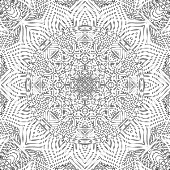 Refreshing Mandala- Colouring Book for Adults Book 2