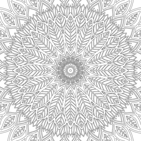 Refreshing Mandala- Colouring Book for Adults Book 2