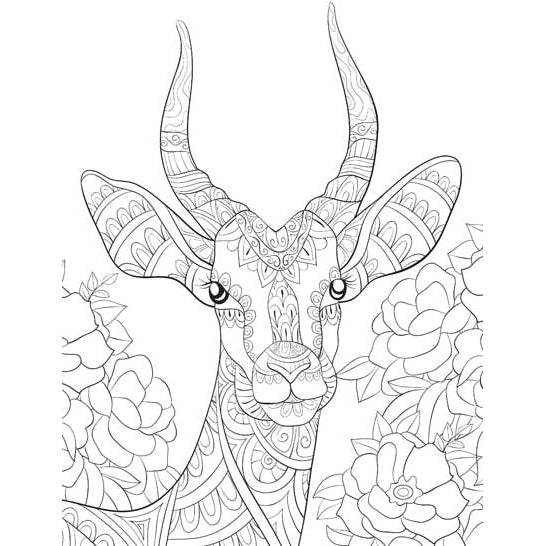 Wilderness- Colouring Book for Adults