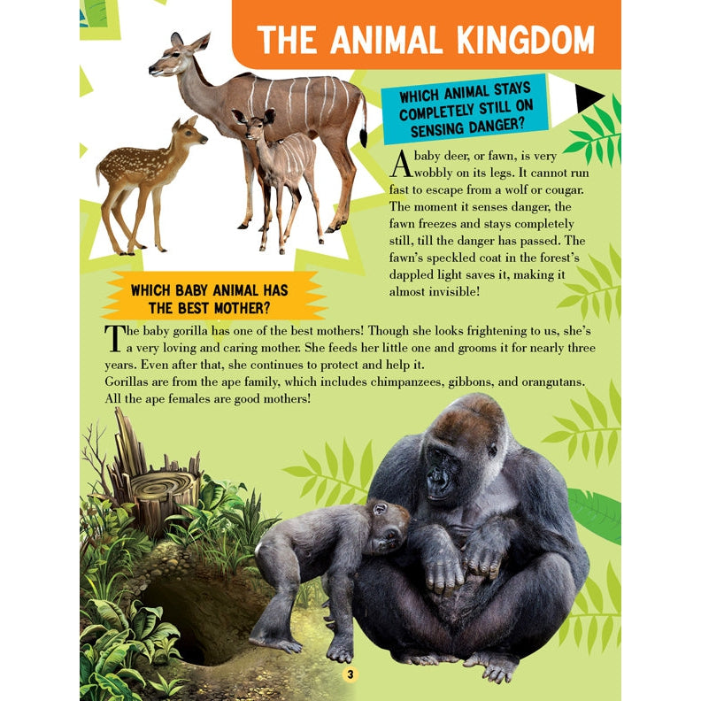 Animal World Children Encyclopedia for Age 5 - 15 Years- All About Trivia Questions and Answers