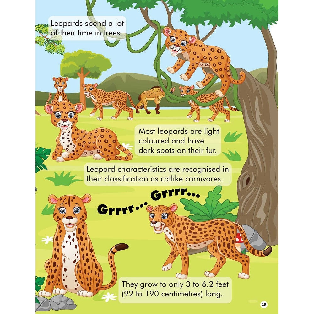 Explore the Jungle Activity Book with Stickers and 3D Models