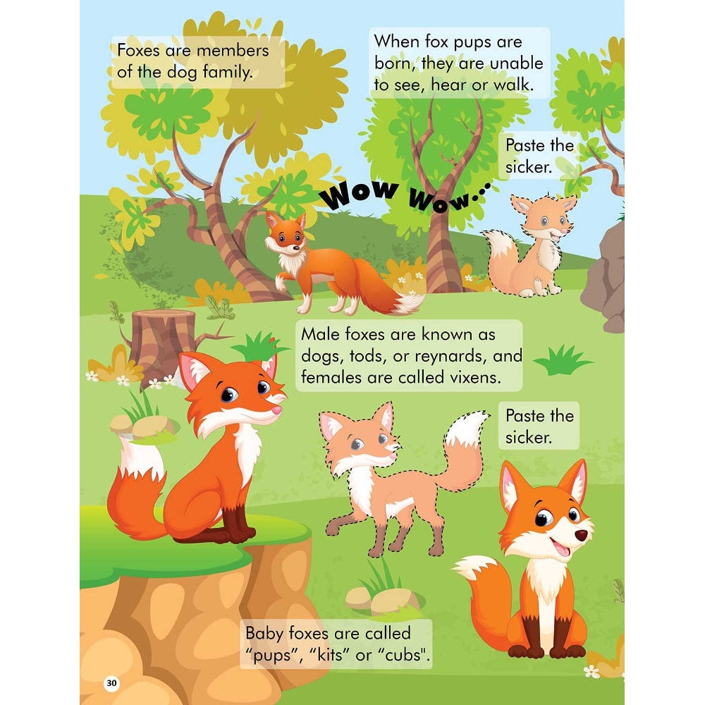 Explore the Jungle Activity Book with Stickers and 3D Models