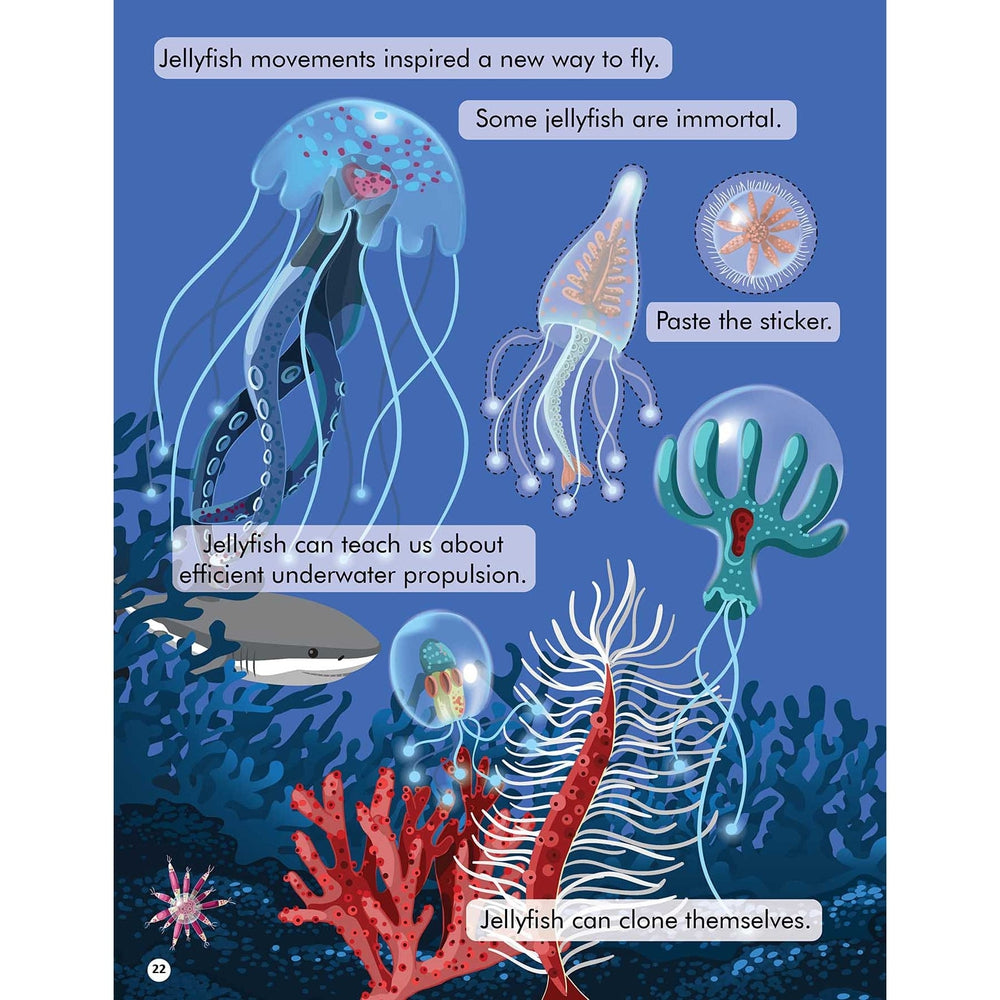 Explore the Sea Activity Book with Stickers and 3D Models