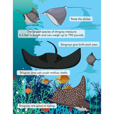 Explore the Sea Activity Book with Stickers and 3D Models