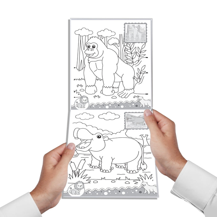 Jungle- It's Colour Time with Stickers : Children Drawing, Painting & Colouring Book