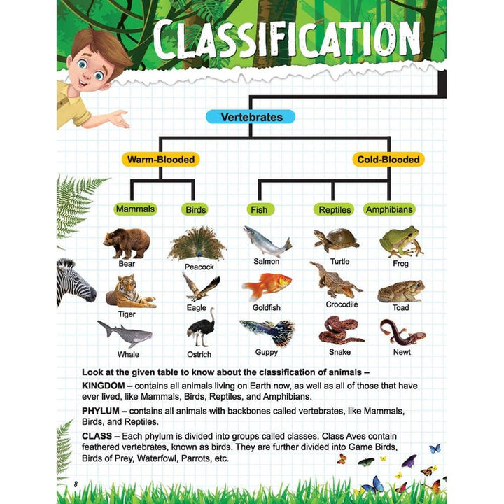 Dreamland Publications Explore Animal Kingdom Encyclopedia