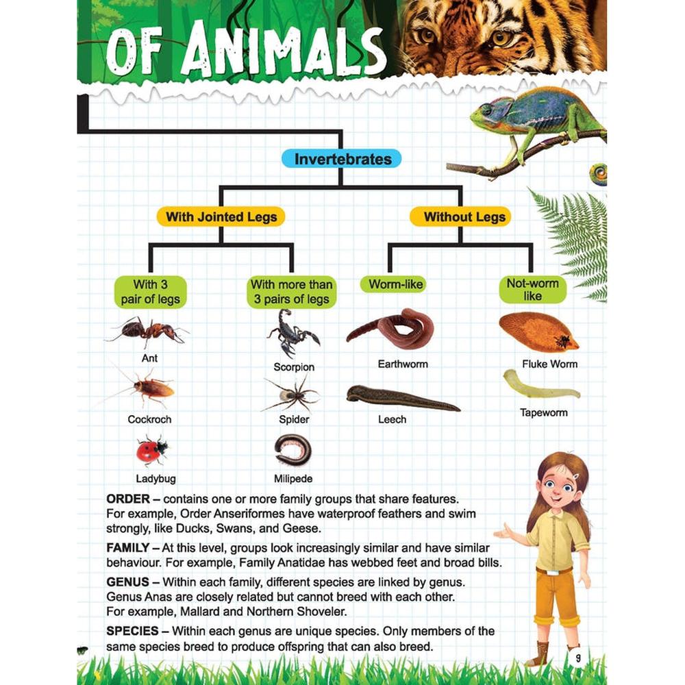 Dreamland Publications Explore Animal Kingdom Encyclopedia