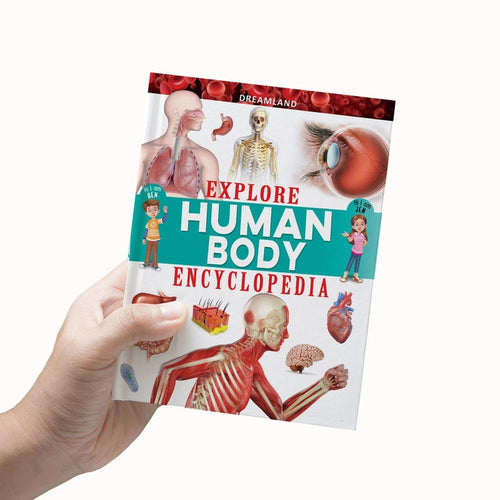 Dreamland Publications Explore Human Body Encyclopedia (10-16 Years)