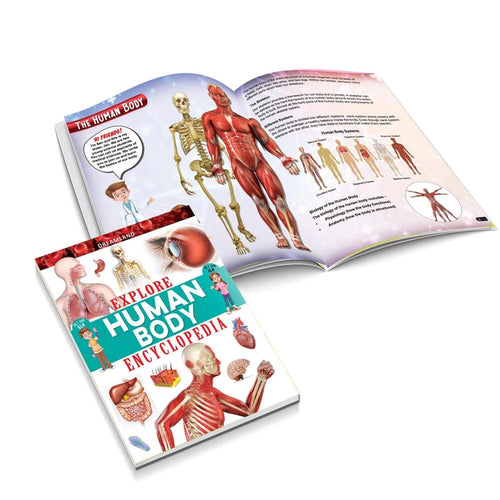 Dreamland Publications Explore Human Body Encyclopedia (10-16 Years)