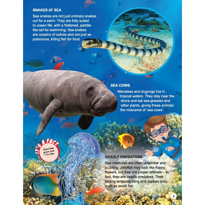 Explore Ocean World Encyclopedia