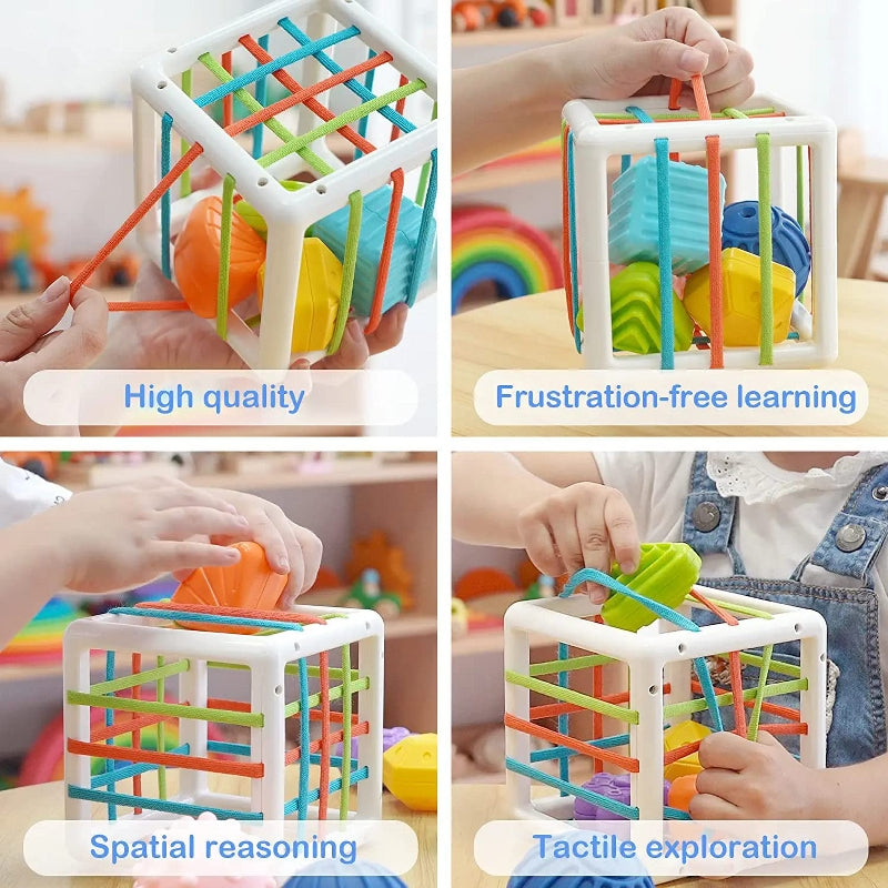 Shape Sorting Montessori Learning Educational Toy