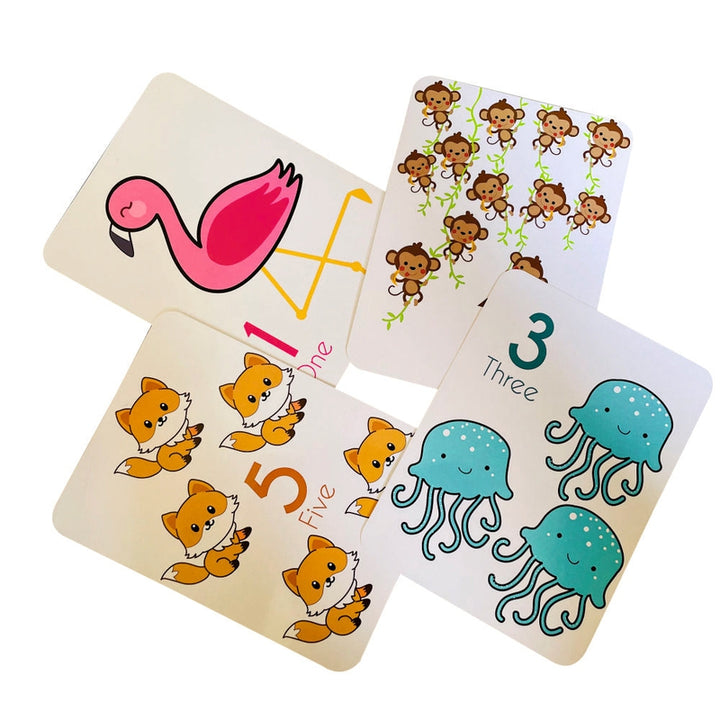 Numbers Flashcards and Counting Activity