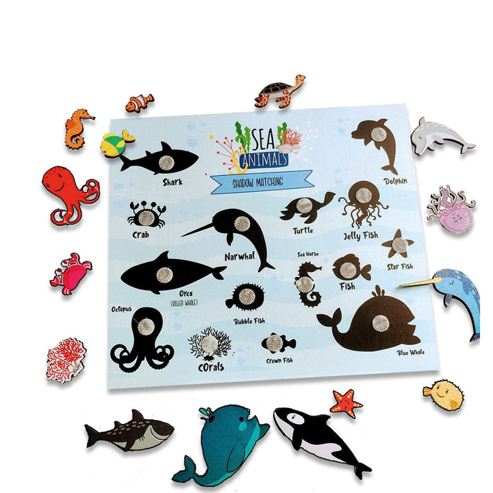 Sea Animals Shadow Matching Activity