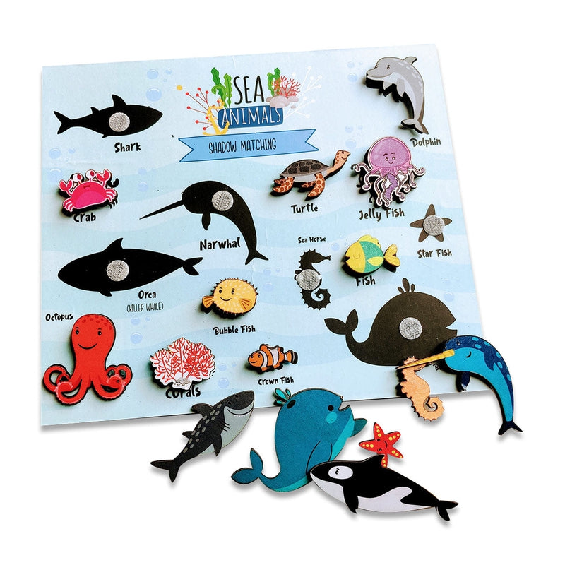 Sea Animals Shadow Matching Activity