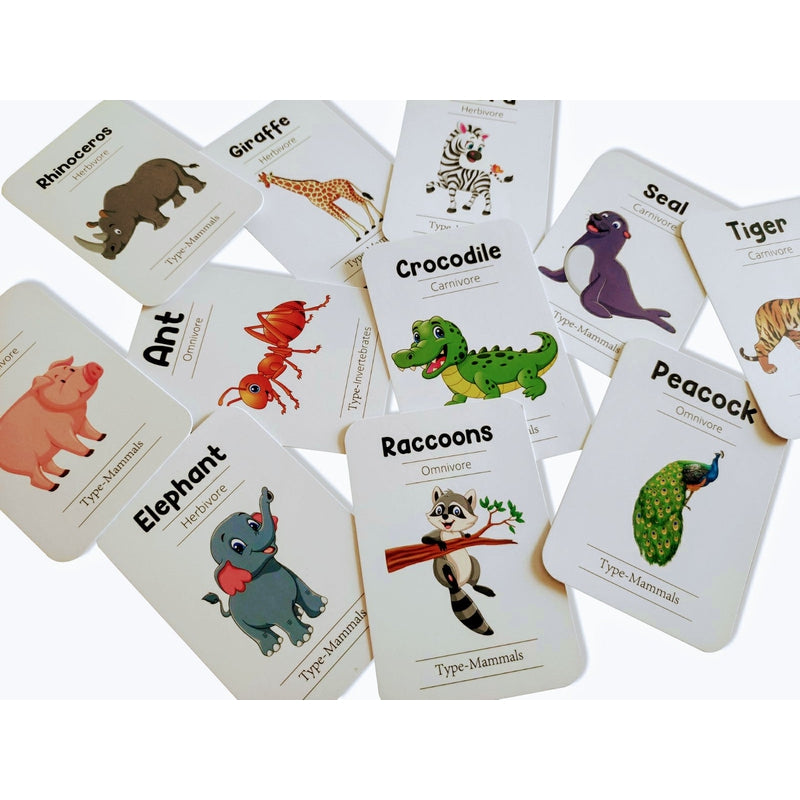 Animals World Flashcards Combo Pack (animals, birds, insects and sea animals)