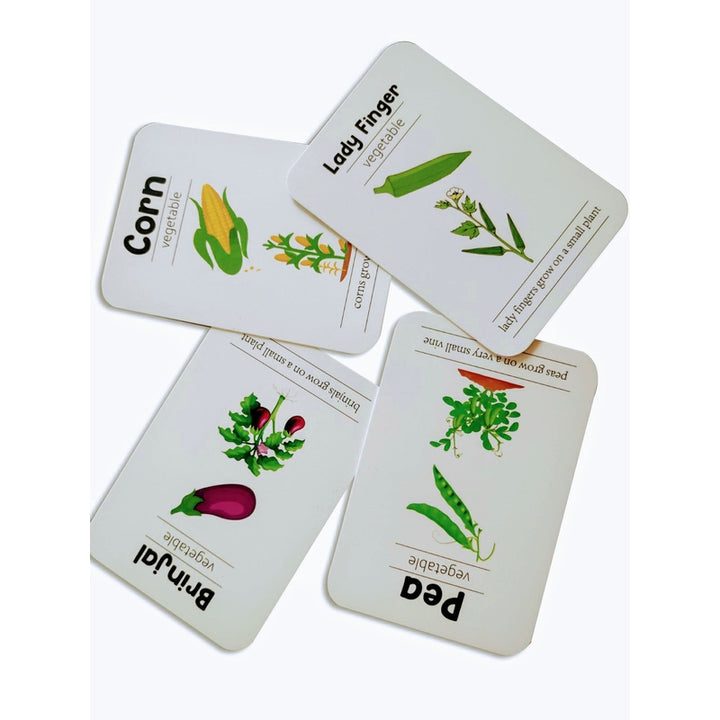 First Flashcards Combo (Pack - Animals, Fruits & Vegetables, Professions & Space Flashcards)