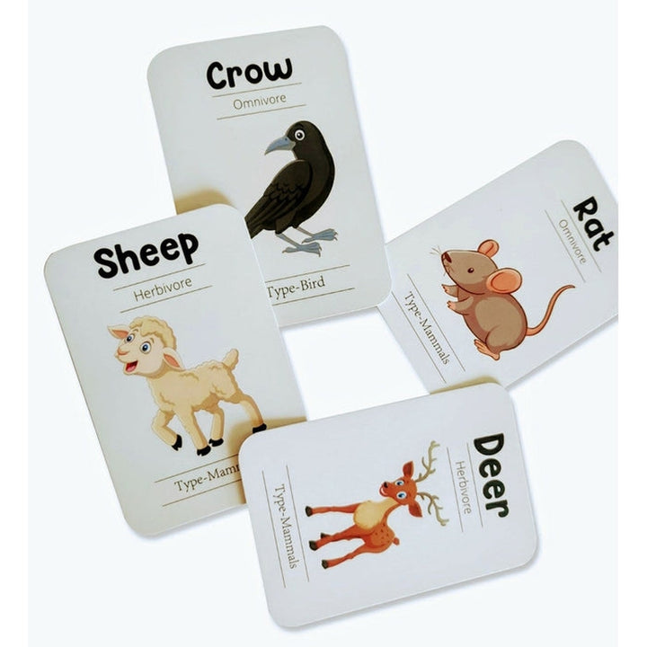 Animals Flash Cards - Pack of 24