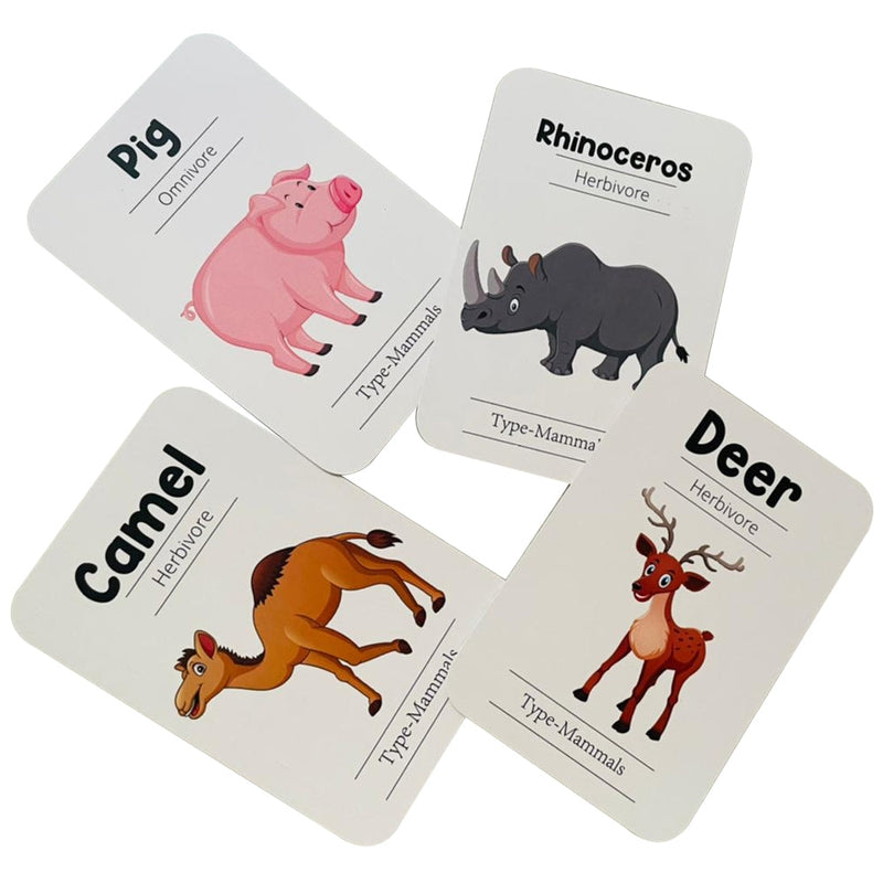 Animals Flash Cards - Pack of 24