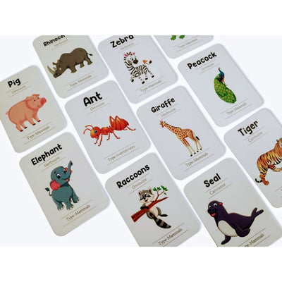 Animals Flash Cards - Pack of 24