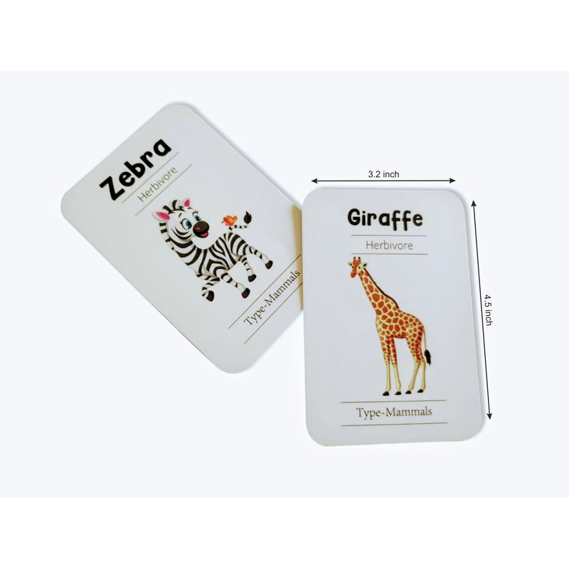 Animals Flash Cards - Pack of 24