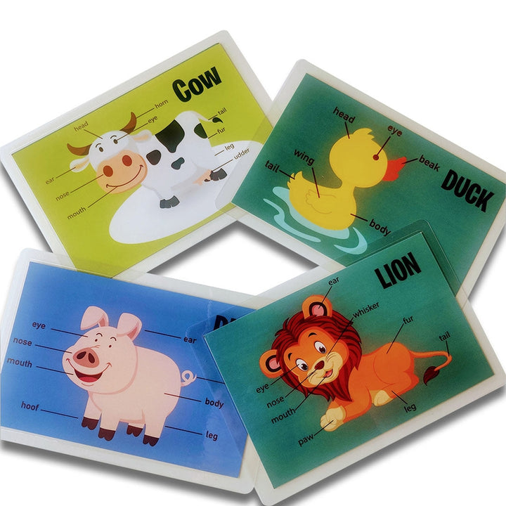 Animal Body Parts Flashcards- Pack of 10