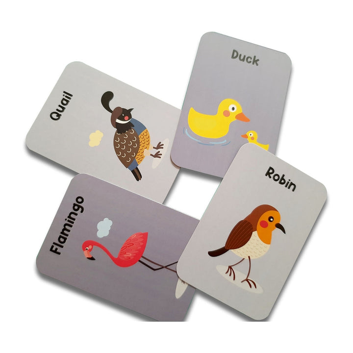 Birds Flash Cards for Kids- Pack of 24