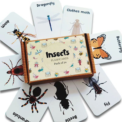 Insects & other Small Animals Flashcards