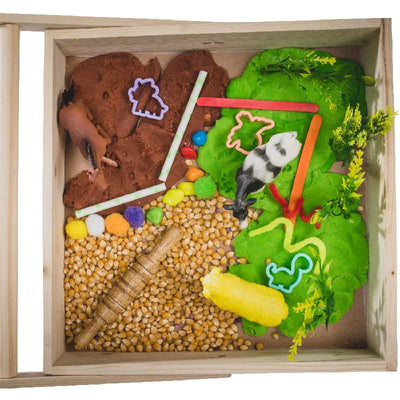 Farm Animal Sensory Kit