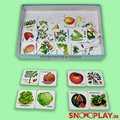 Fruits, Vegetables and their Plants Jigsaw Puzzle
