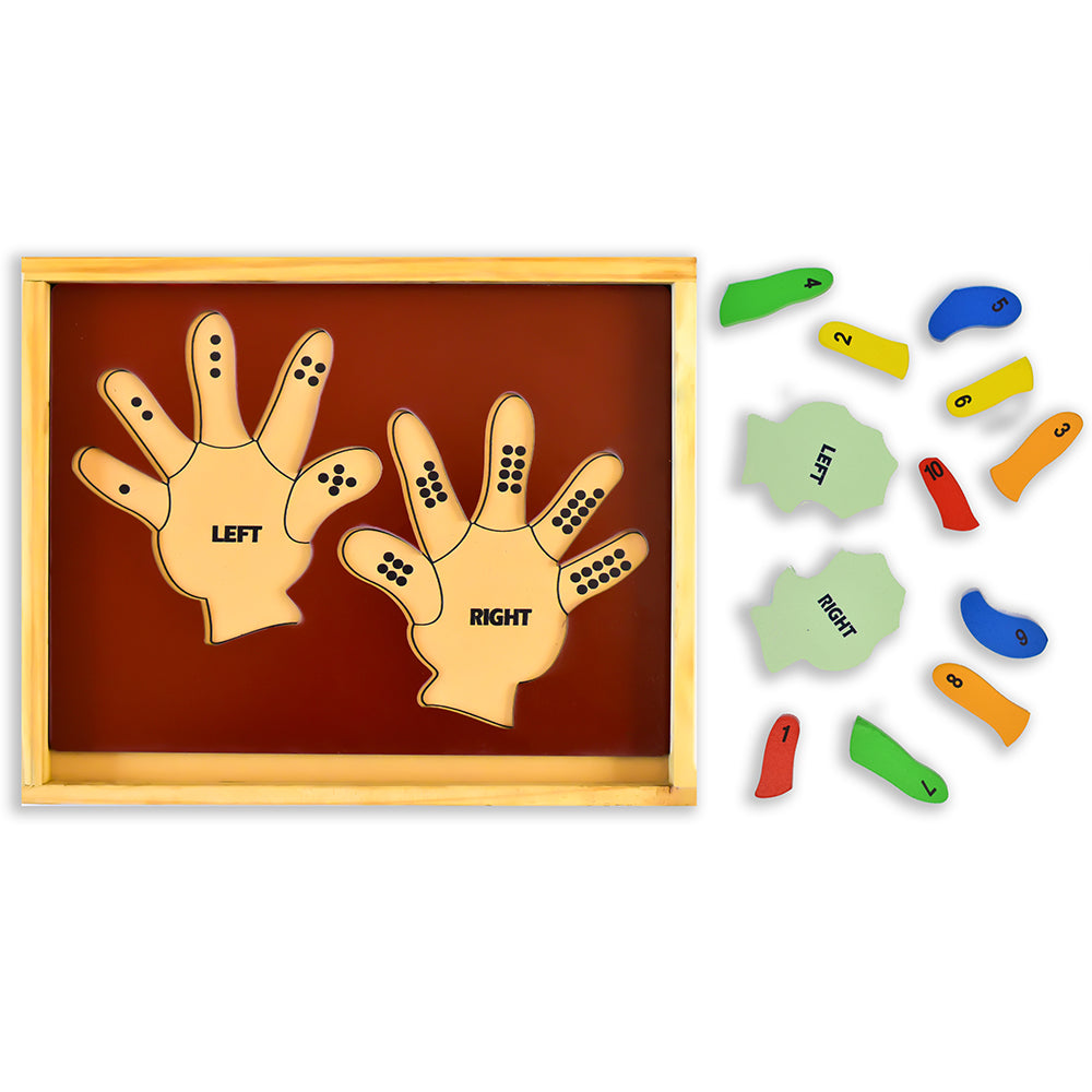 Learn the Counting- Left Hand and Right Hand Educational Game