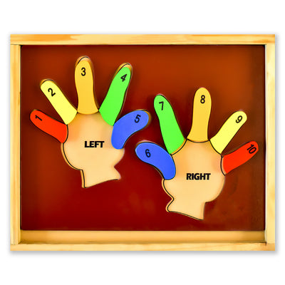 Learn the Counting- Left Hand and Right Hand Educational Game