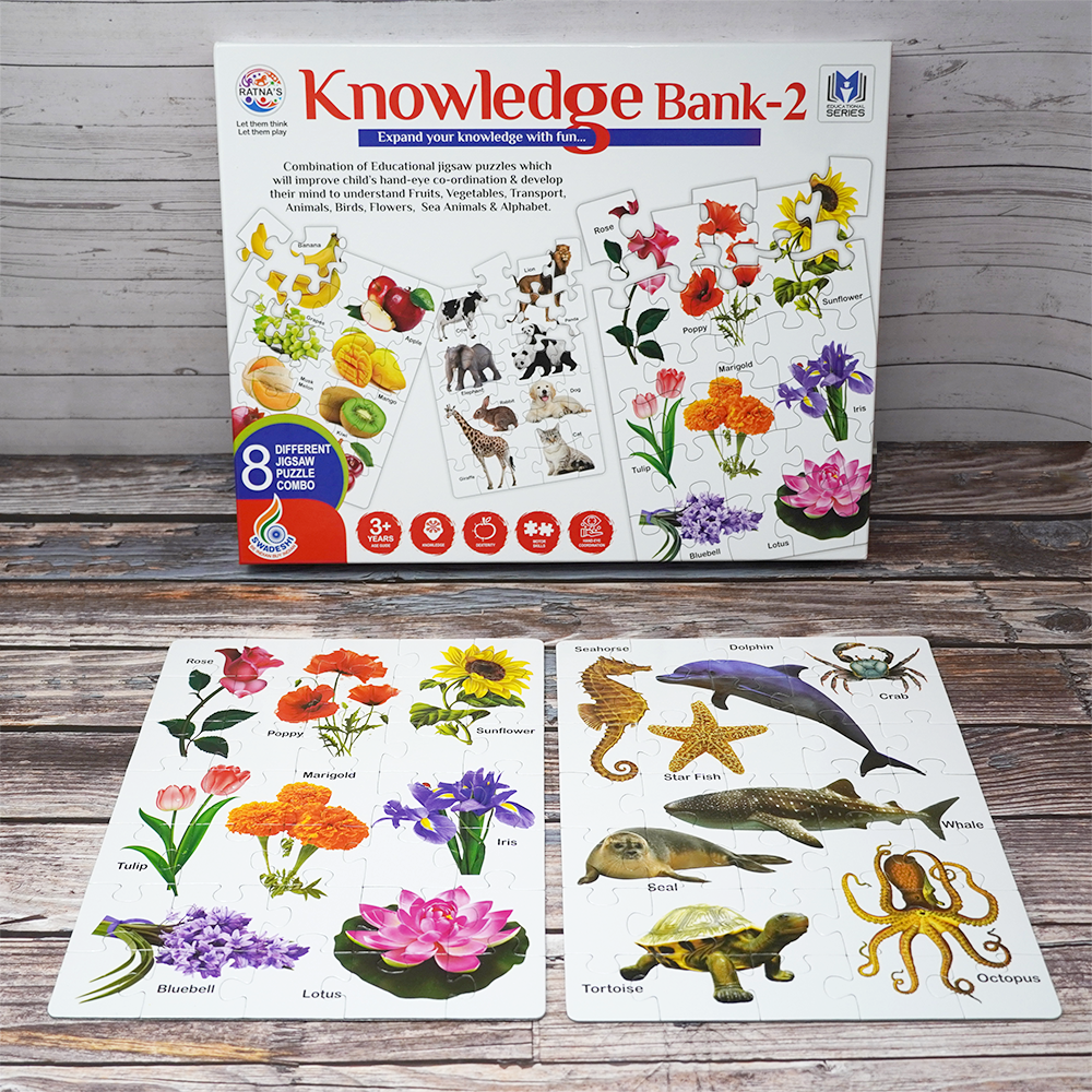 Knowledge bank brain game to educate your child about various topics.