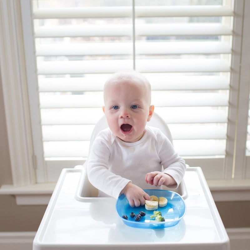 Feeding & Weaning Toddler Plates Multicolor (3-Pack)